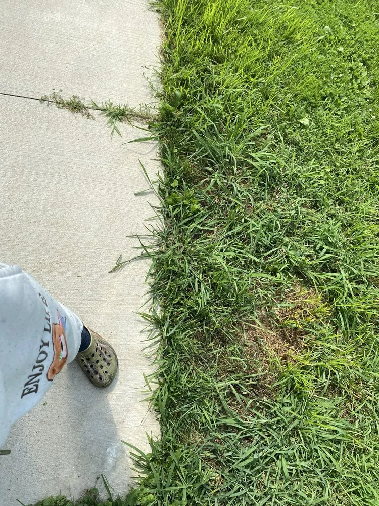 Trusted landscape installation experts serving Bruce Township, MI - D&H Landscaping Services