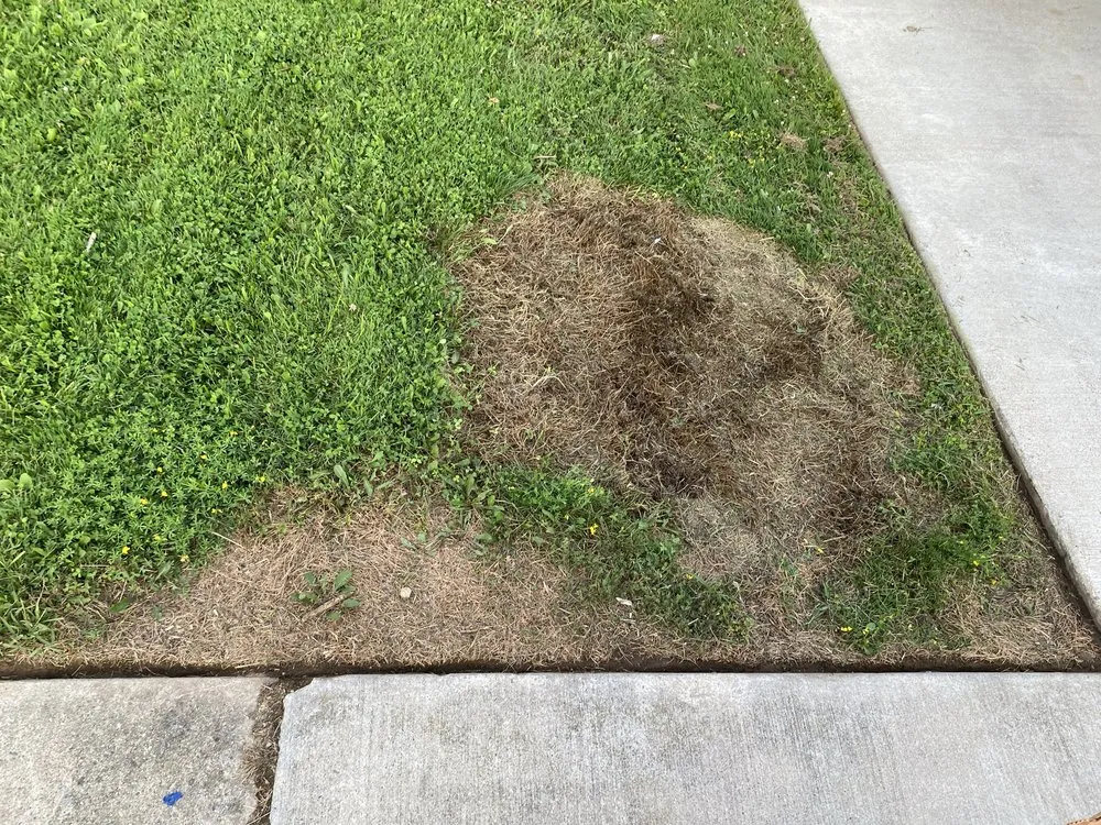 Reliable lawn care service experts serving Bruce Township, MI - D&H Landscaping Services
