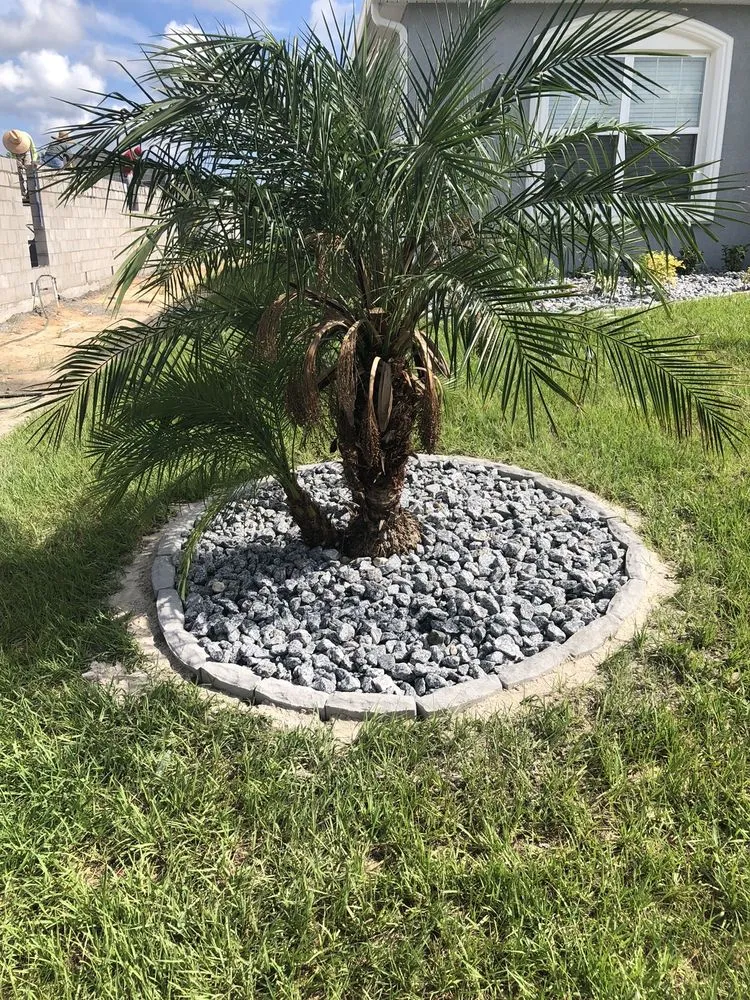 Affordable yard cleanup service in Winter Haven, FL - D&H Lawn care and pressure washing services