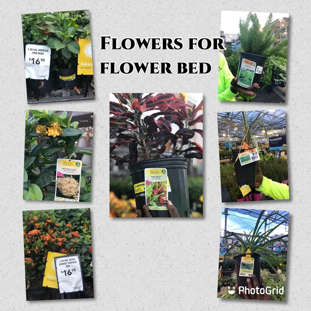 Top-rated residential landscaping for beautiful yards across Winter Haven, FL - D&H Lawn care and pressure washing services