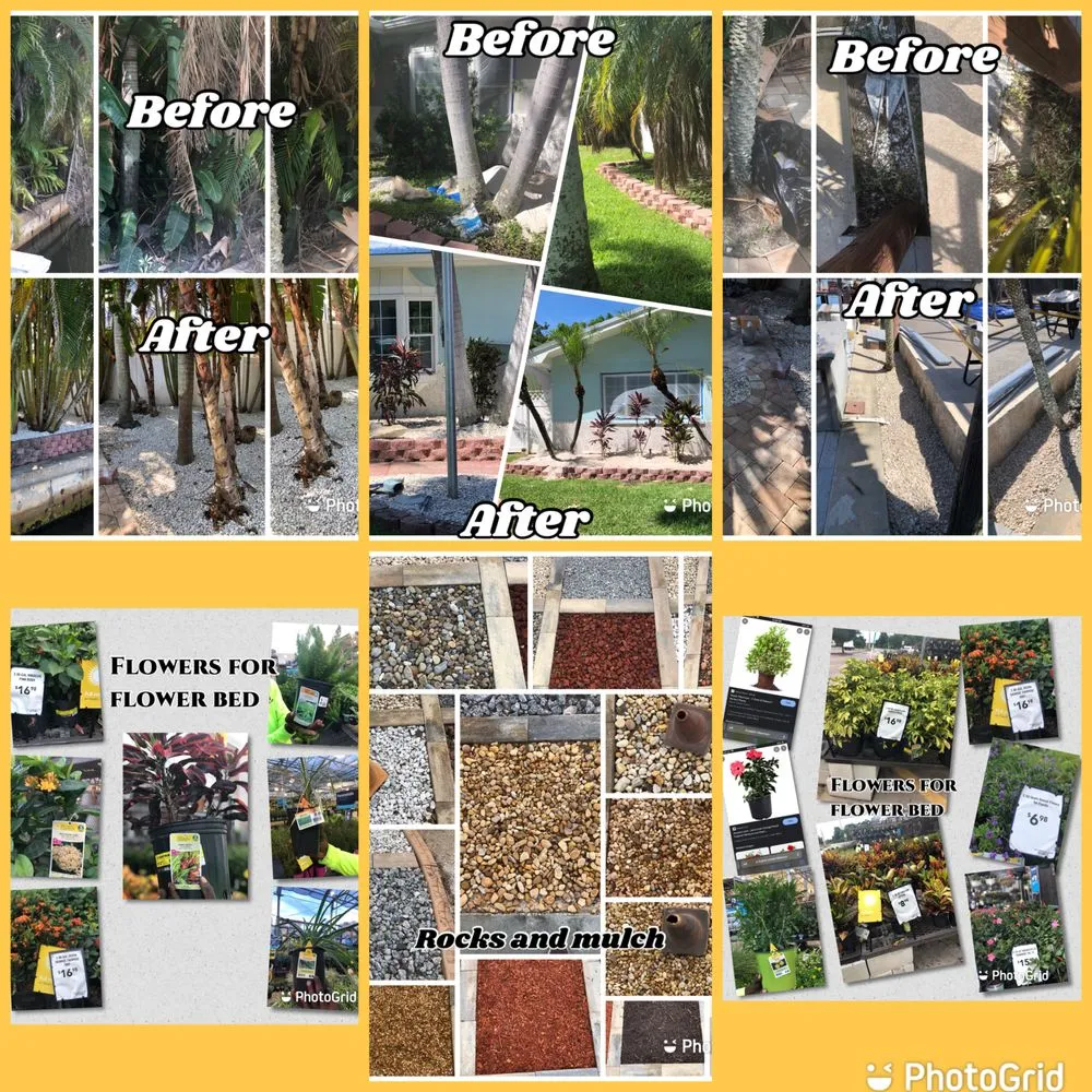 Custom landscaping services in Winter Haven, FL by D&H Lawn care and pressure washing services