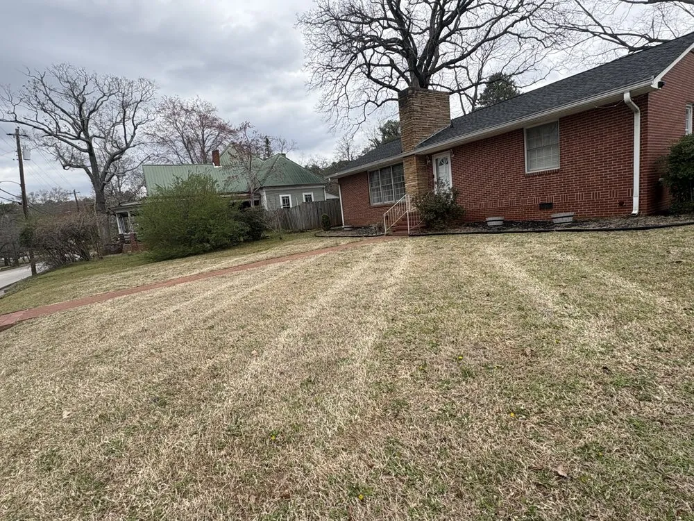 Local yard cleanup service in Aragon, GA - D&H Lawn Care