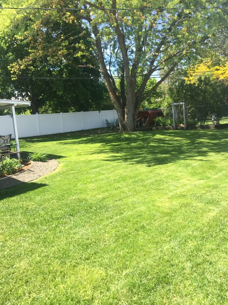 Expert yard cleanup service in Spokane, WA - DH Lawn Care