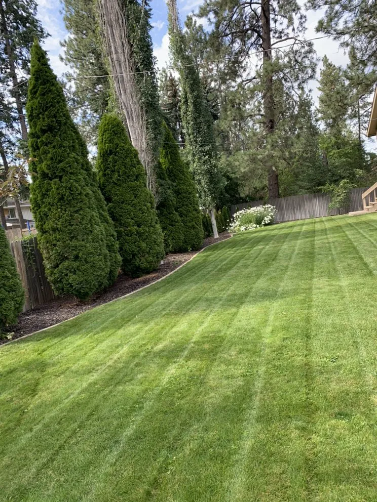 Expert residential landscaping experts serving Spokane, WA - DH Lawn Care