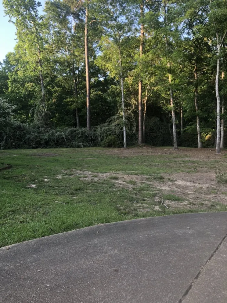 Affordable outdoor landscaping experts serving Summit, MS - D&H Lawn Service