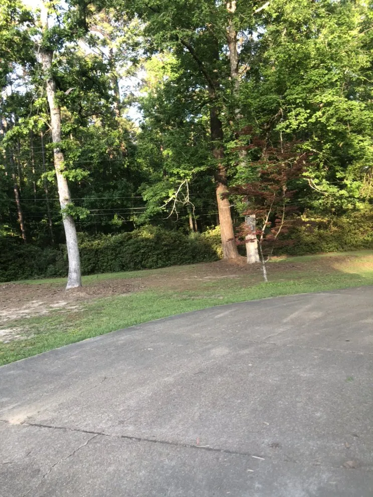 Expert outdoor landscaping for year-round maintenance across Summit, MS - D&H Lawn Service