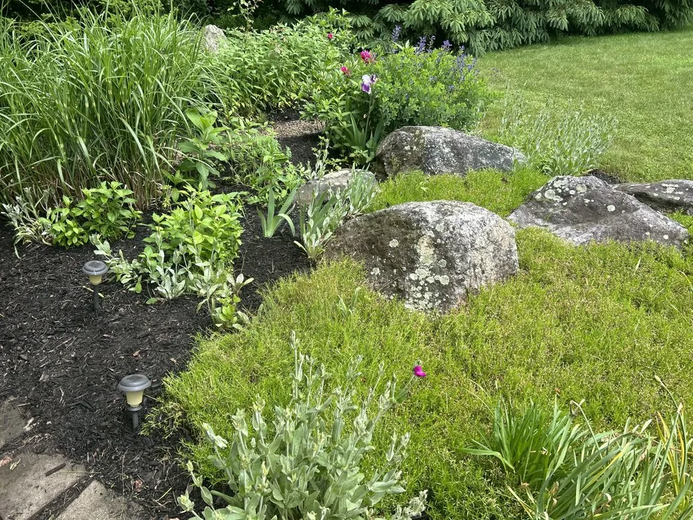 Affordable yard maintenance for homes across Auburn, ME - D&H Lawn Services
