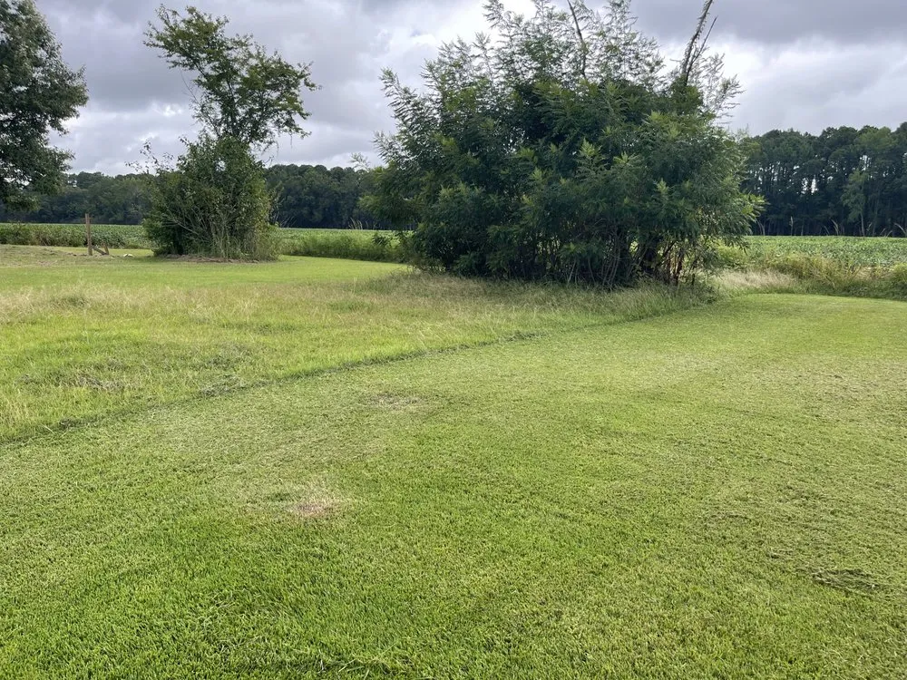 Expert garden landscaping in Arapahoe, NC by DH Royal Landscaping