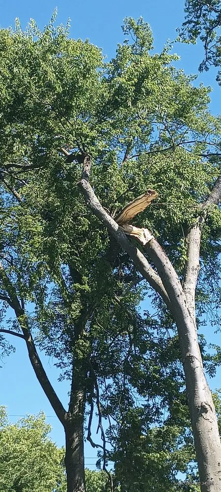 Professional lawn care service in Louisville, KY - DH Tree Care Service