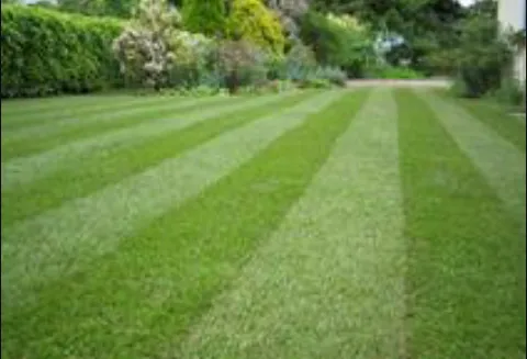 Affordable outdoor landscaping with custom design across Maryville, TN - Dharma Lawn and Landscape