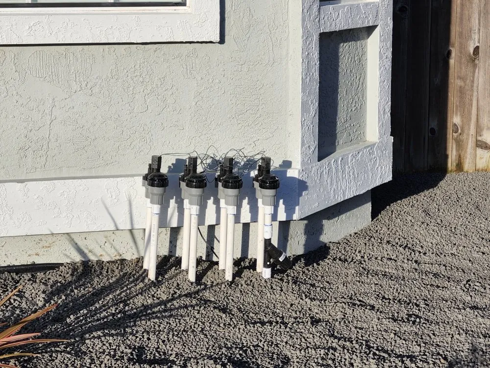 Local yard cleanup service for residential properties in Vacaville, CA by DHC Landscape