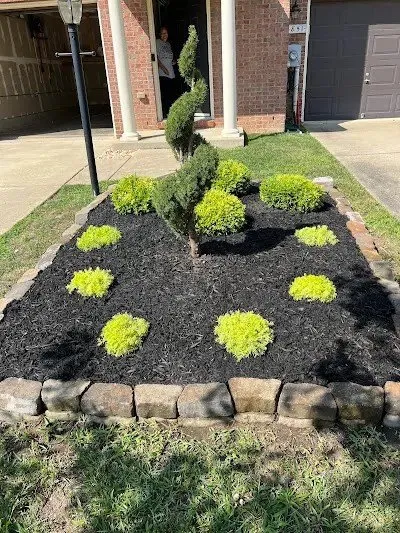 Custom landscaping services experts serving Chillum, MD - DHL Lawn Services