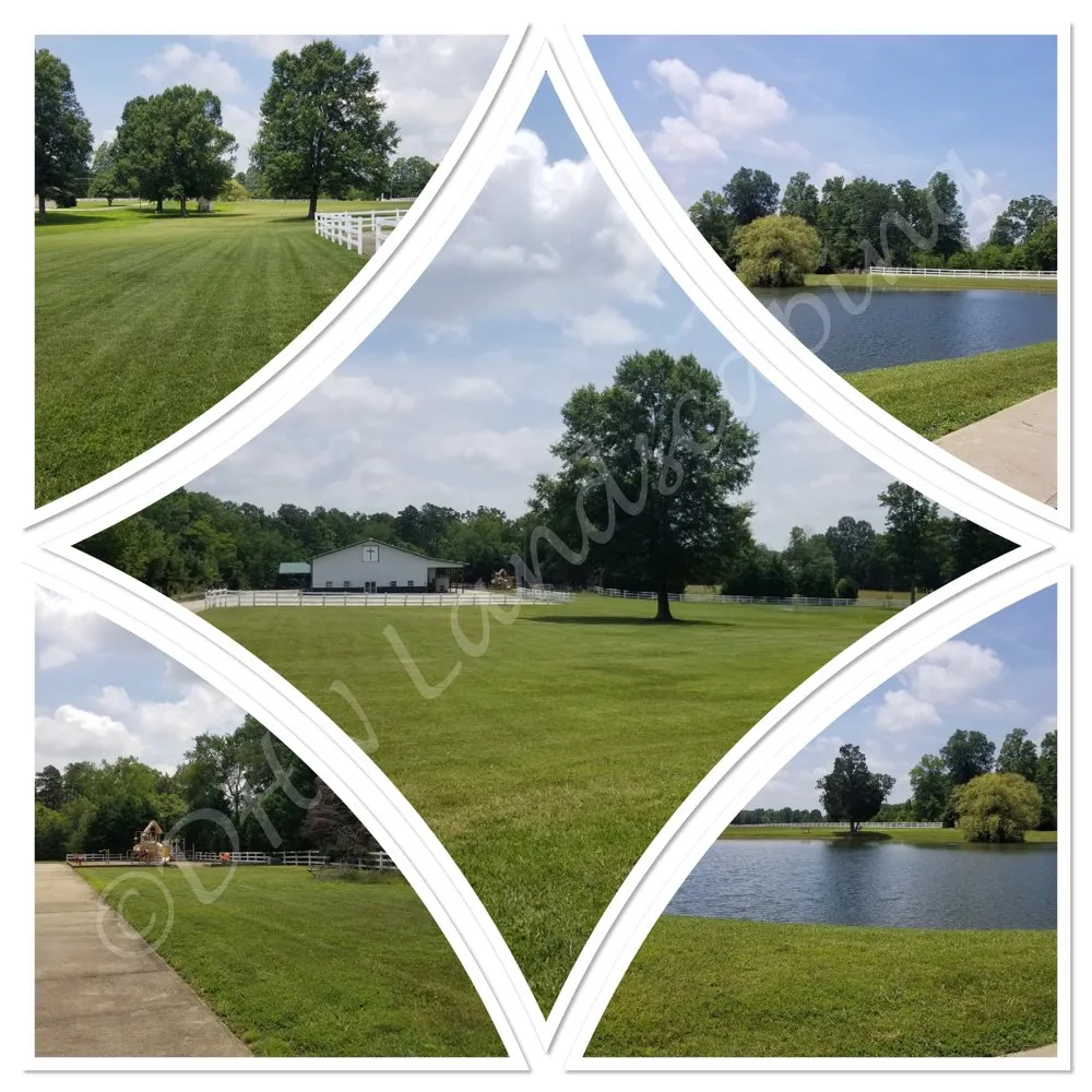 Reliable lawn mowing service in Gibsonville, NC - DHN Landscapes & Properties