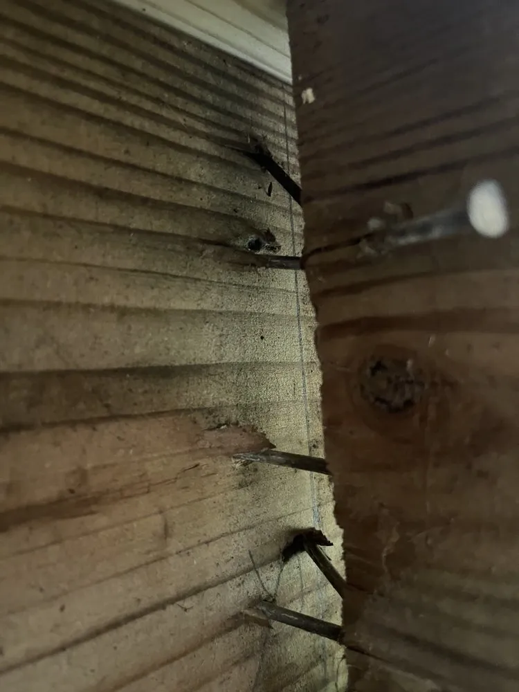 Expert outdoor landscaping in Gibsonville, NC - DHN Landscapes & Properties