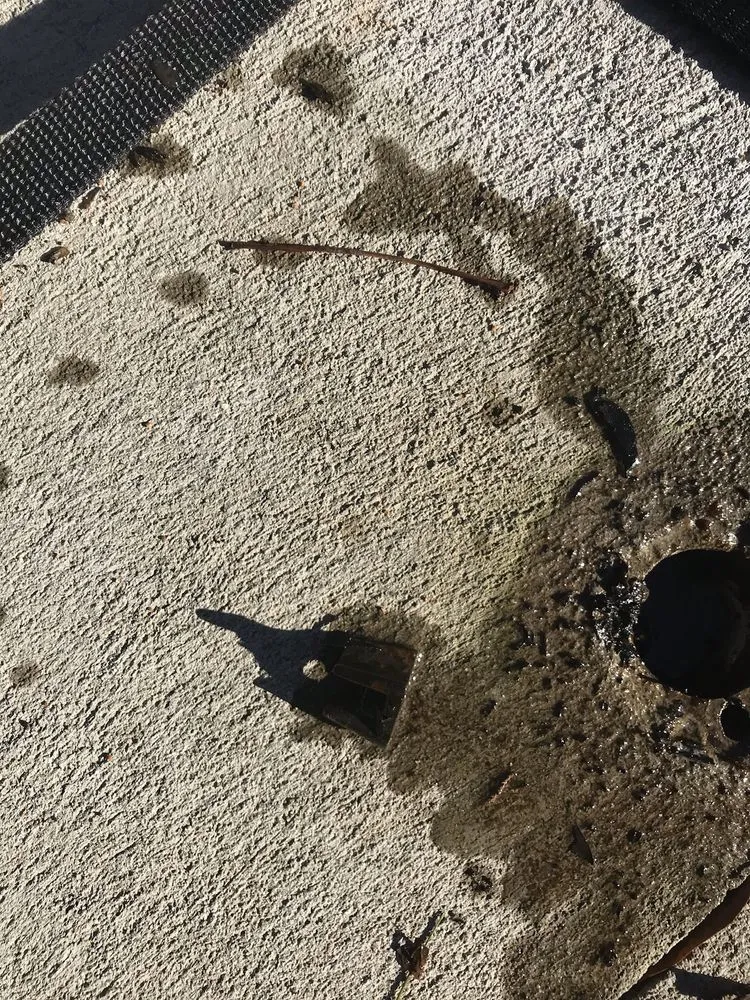 Reliable yard cleanup service experts serving Gibsonville, NC - DHN Landscapes & Properties