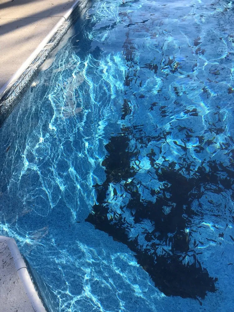 Expert yard maintenance near you across Gibsonville, NC - DHN Landscapes & Properties