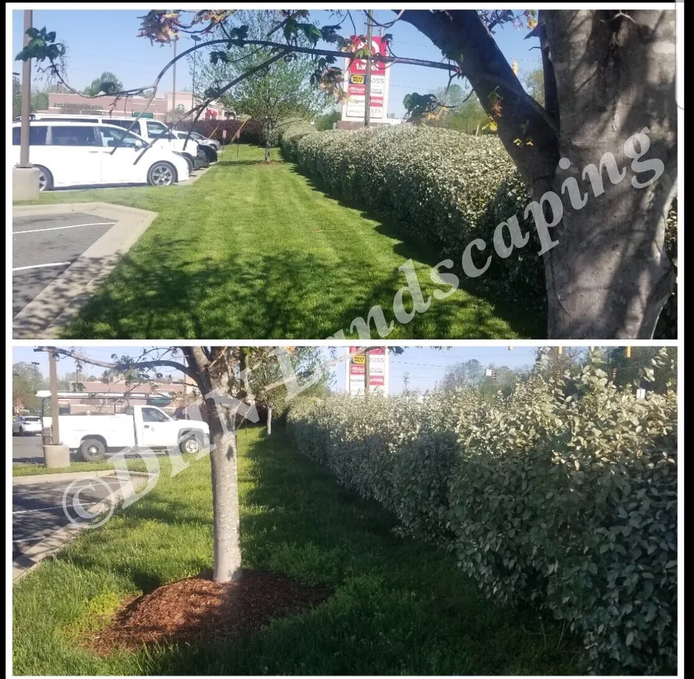 Trusted landscape installation in Gibsonville, NC by DHN Landscapes & Properties