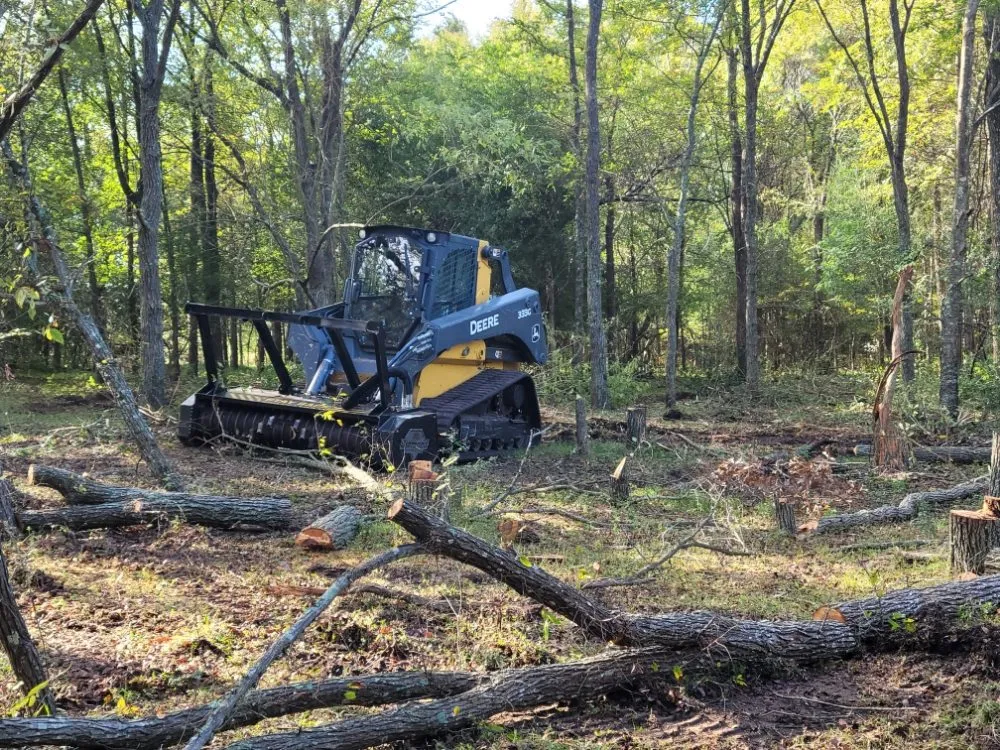 Expert landscaping services for beautiful yards in Conroe, TX by D&I Land Prep