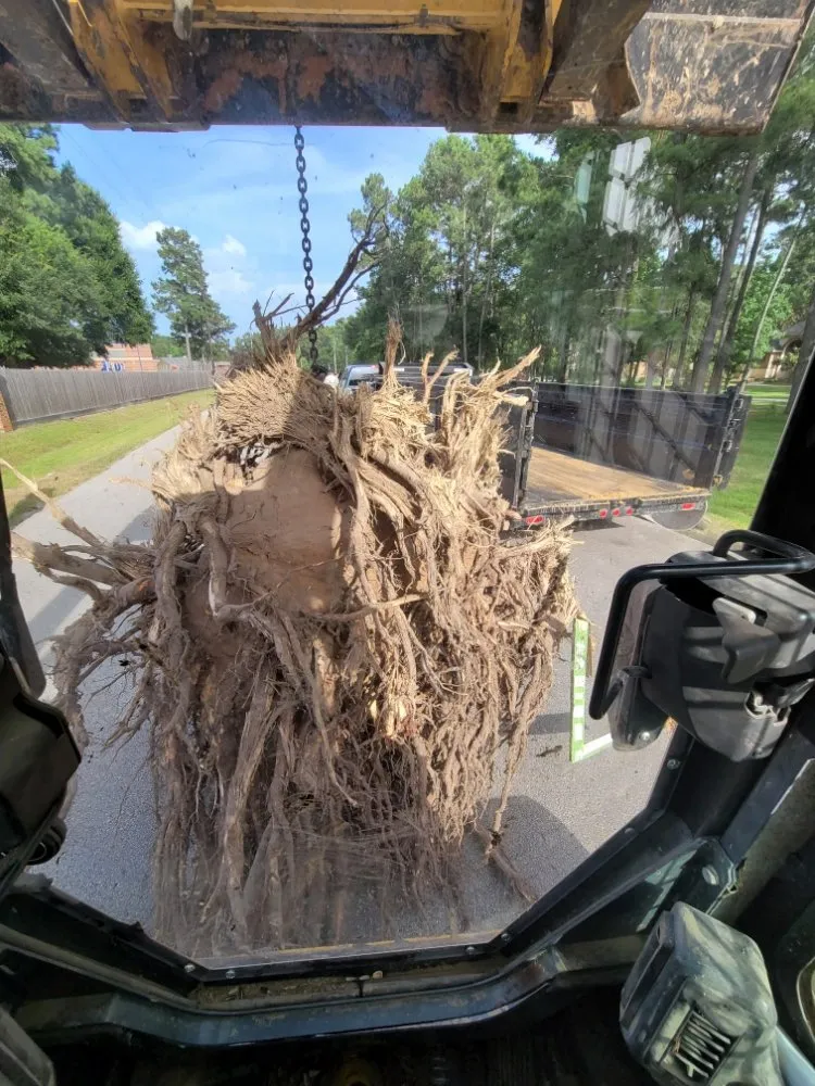 Reliable landscape installation experts serving Conroe, TX - D&I Land Prep