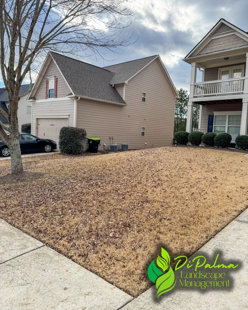 Trusted yard cleanup service for beautiful yards in Dallas, GA by Di Palma Landscape Management