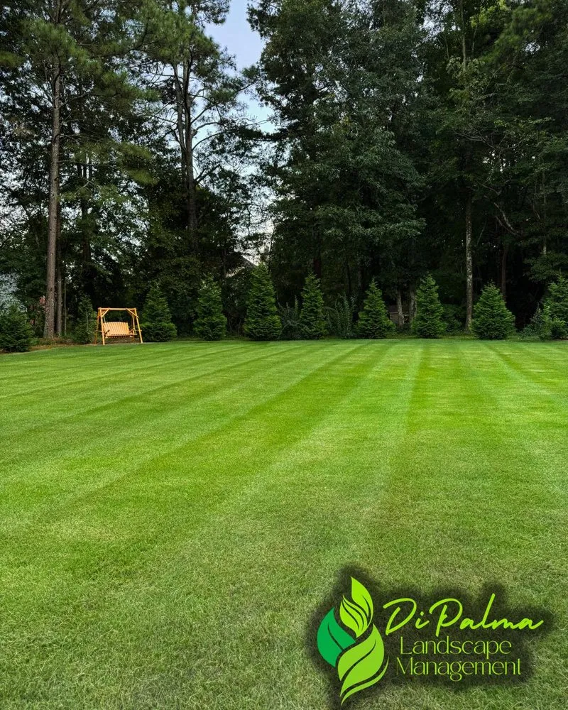 Reliable landscape design with custom design across Dallas, GA - Di Palma Landscape Management