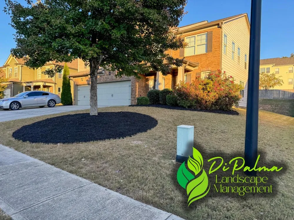 Expert outdoor landscaping in Dallas, GA - Di Palma Landscape Management