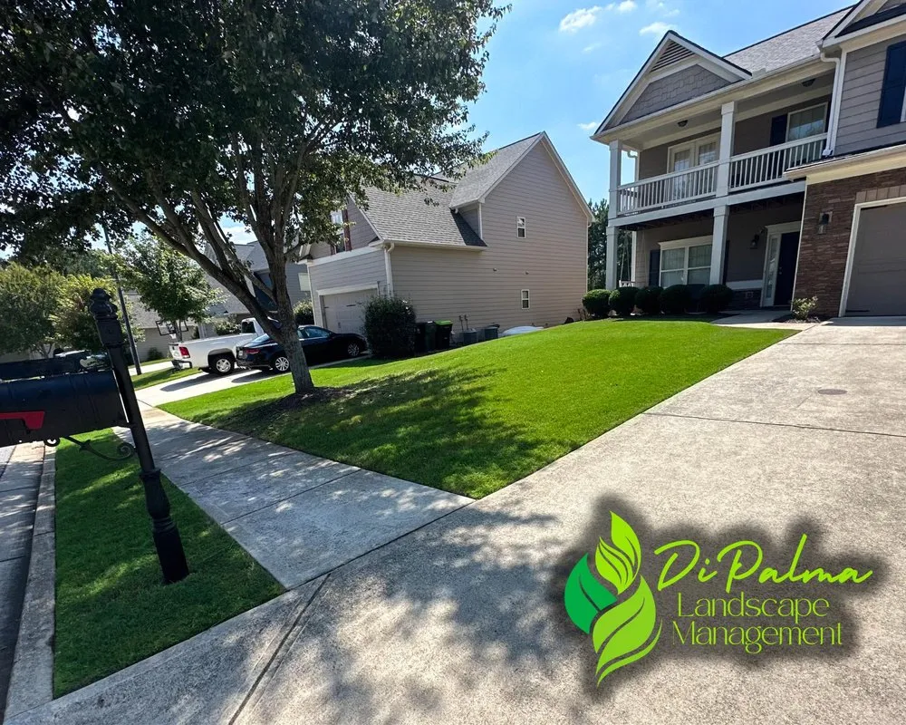 Trusted yard maintenance for year-round maintenance in Dallas, GA by Di Palma Landscape Management