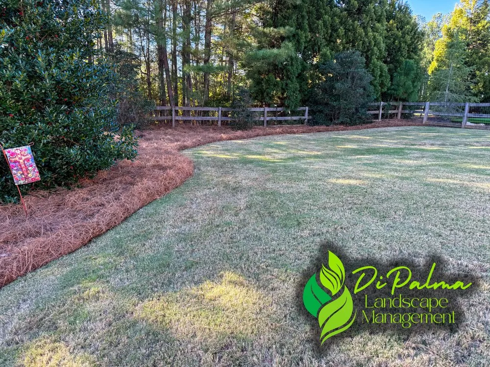 Professional lawn mowing service in Dallas, GA by Di Palma Landscape Management