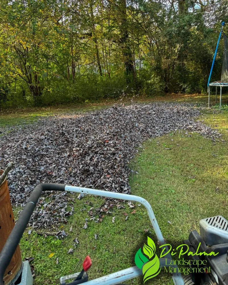 Expert landscape design for beautiful yards in Dallas, GA by Di Palma Landscape Management