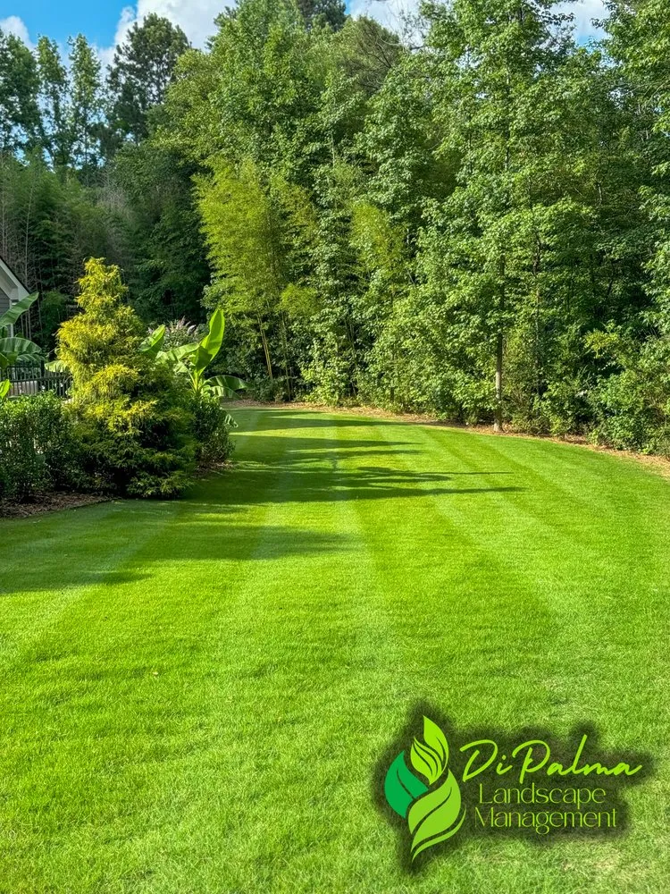 Trusted landscape installation experts serving Dallas, GA - Di Palma Landscape Management