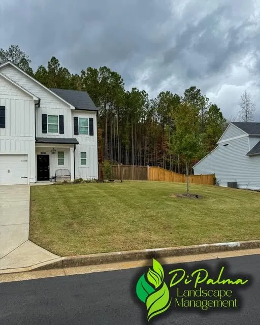 Reliable outdoor landscaping experts serving Dallas, GA - Di Palma Landscape Management