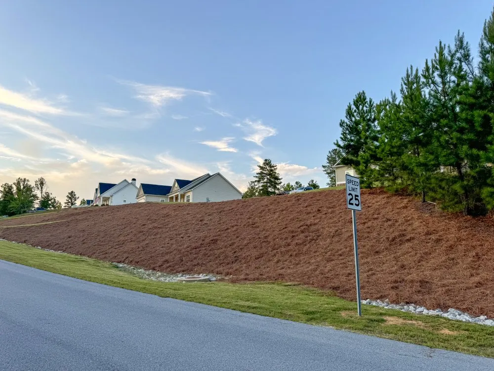 Top-rated lawn mowing service experts serving Dallas, GA - Di Palma Landscape Management