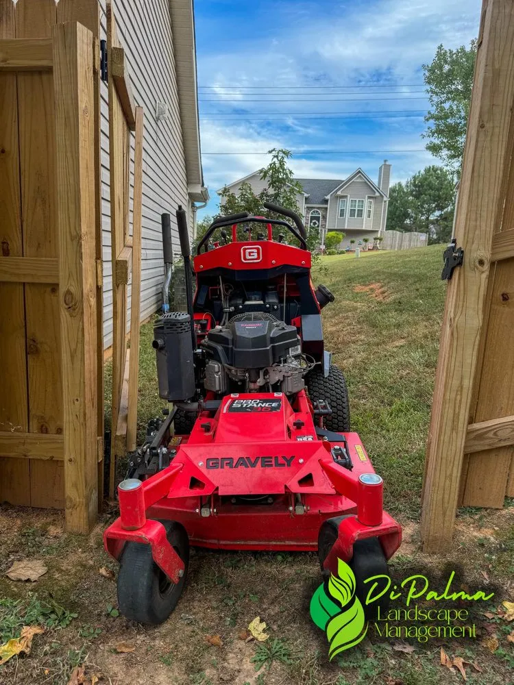 Top-rated outdoor landscaping experts serving Dallas, GA - Di Palma Landscape Management