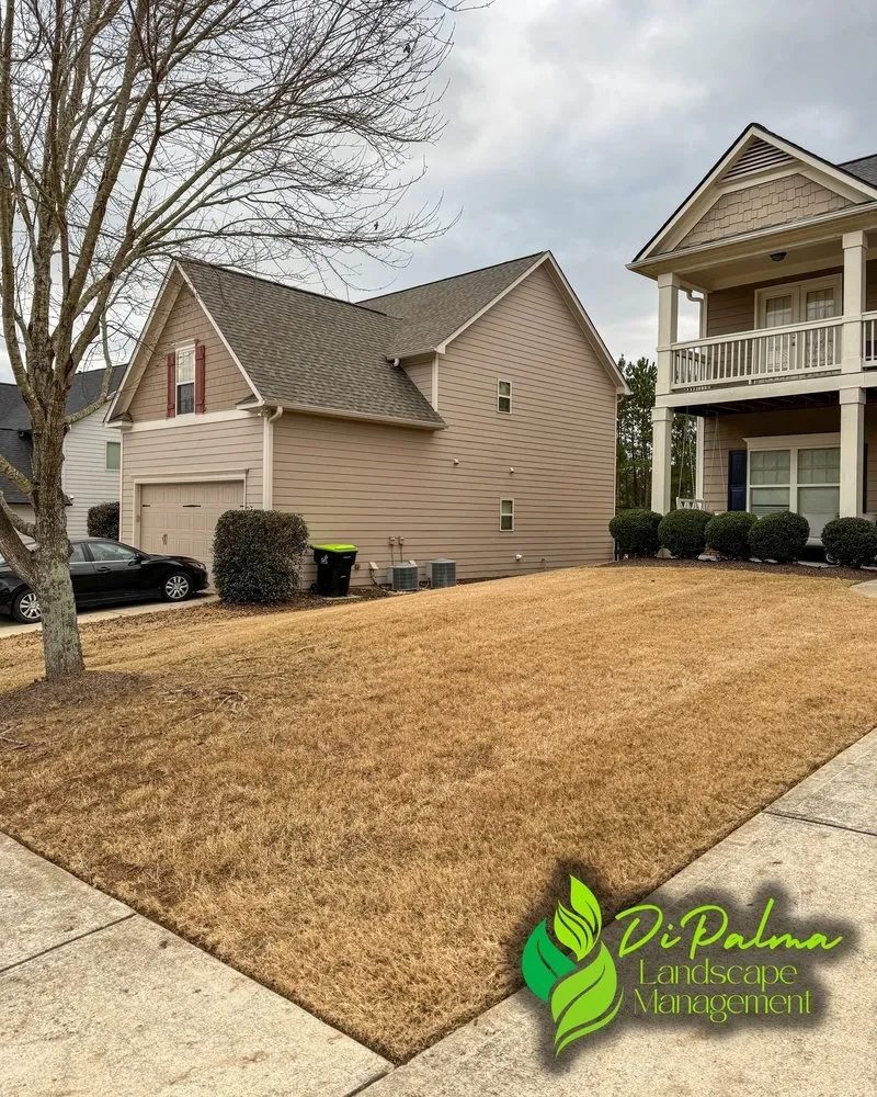 Custom garden landscaping experts serving Dallas, GA - Di Palma Landscape Management