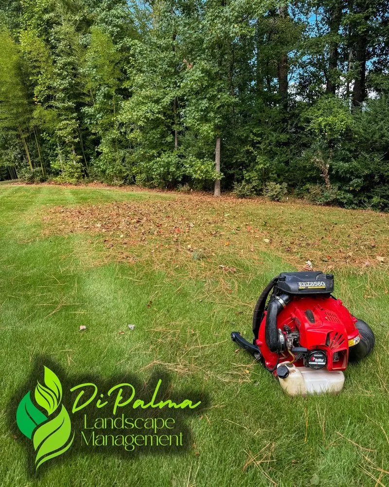 Expert garden landscaping experts serving Dallas, GA - Di Palma Landscape Management