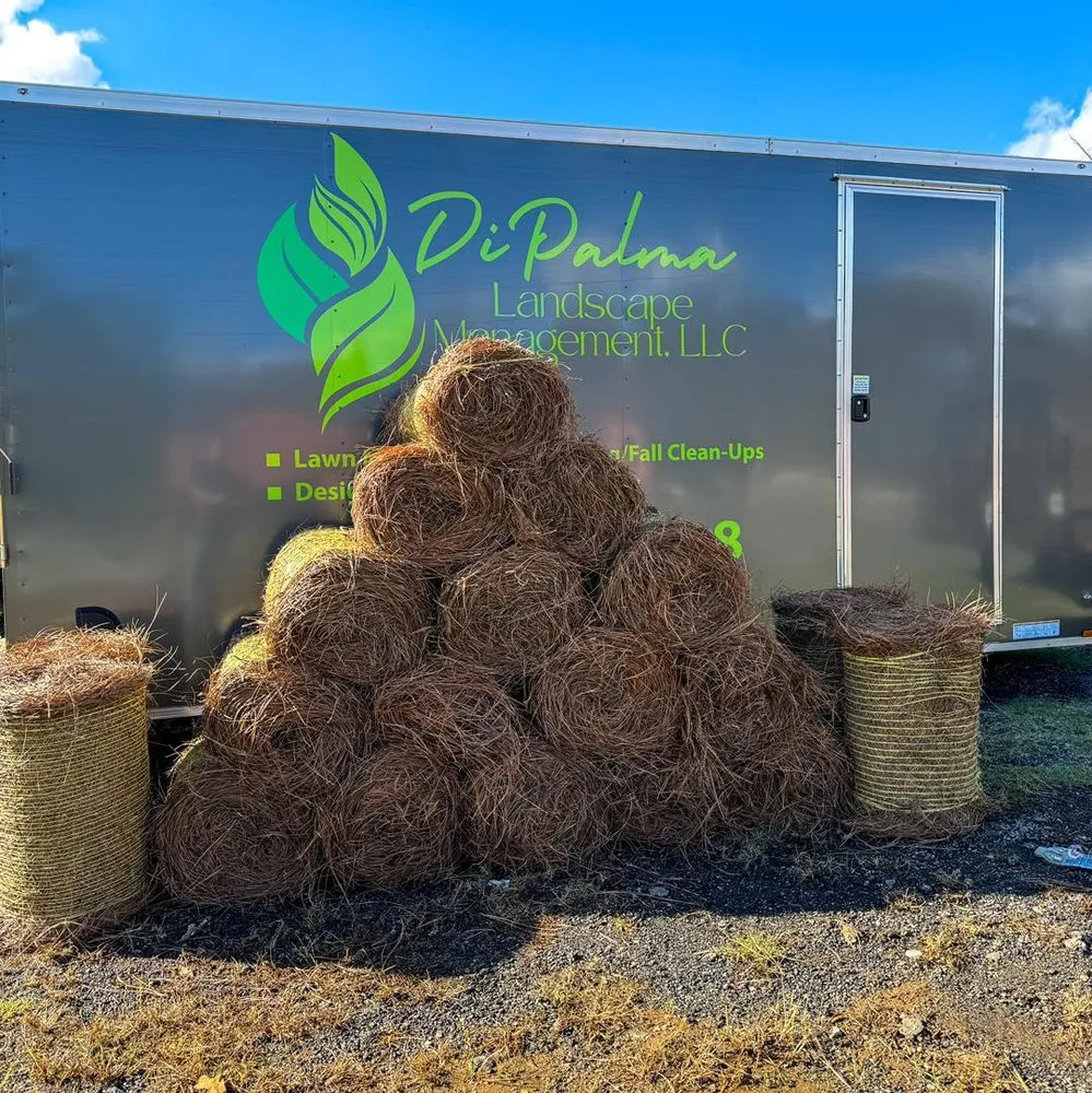 Trusted garden landscaping with custom design across Dallas, GA - Di Palma Landscape Management