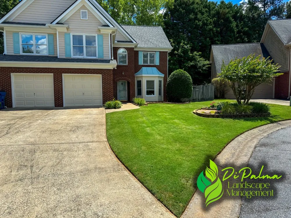 Top-rated yard maintenance experts serving Dallas, GA - Di Palma Landscape Management