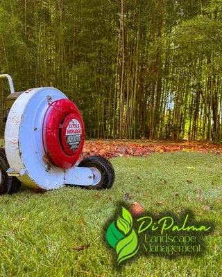 Di Palma Landscape Management