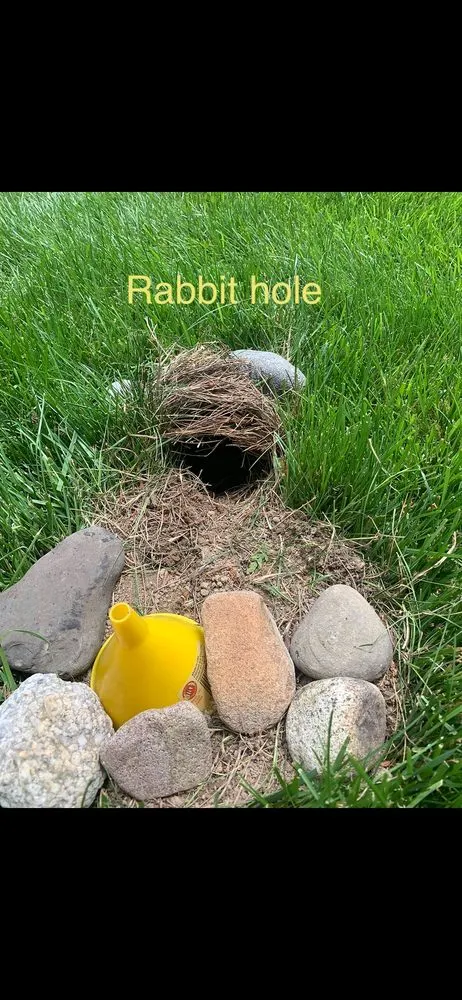 Custom landscape installation in North Wales, PA - Di Prato Landscape Contractors