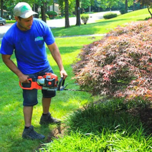 Trusted yard maintenance experts serving Feasterville, PA - Di Sandro Landscape Group