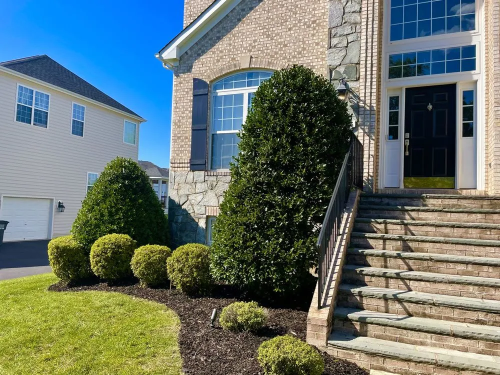 Affordable lawn care service in South Riding, VA by Dia Labor Center