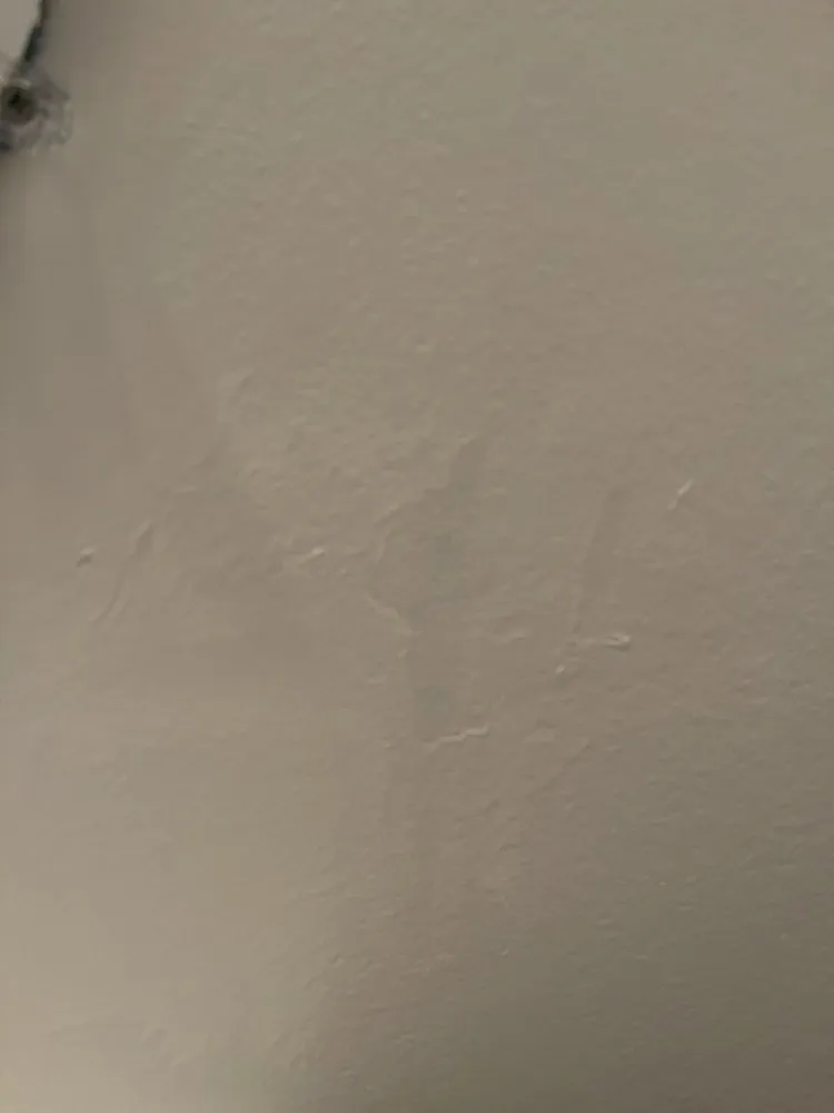 Expert yard maintenance near you in South Riding, VA by Dia Labor Center