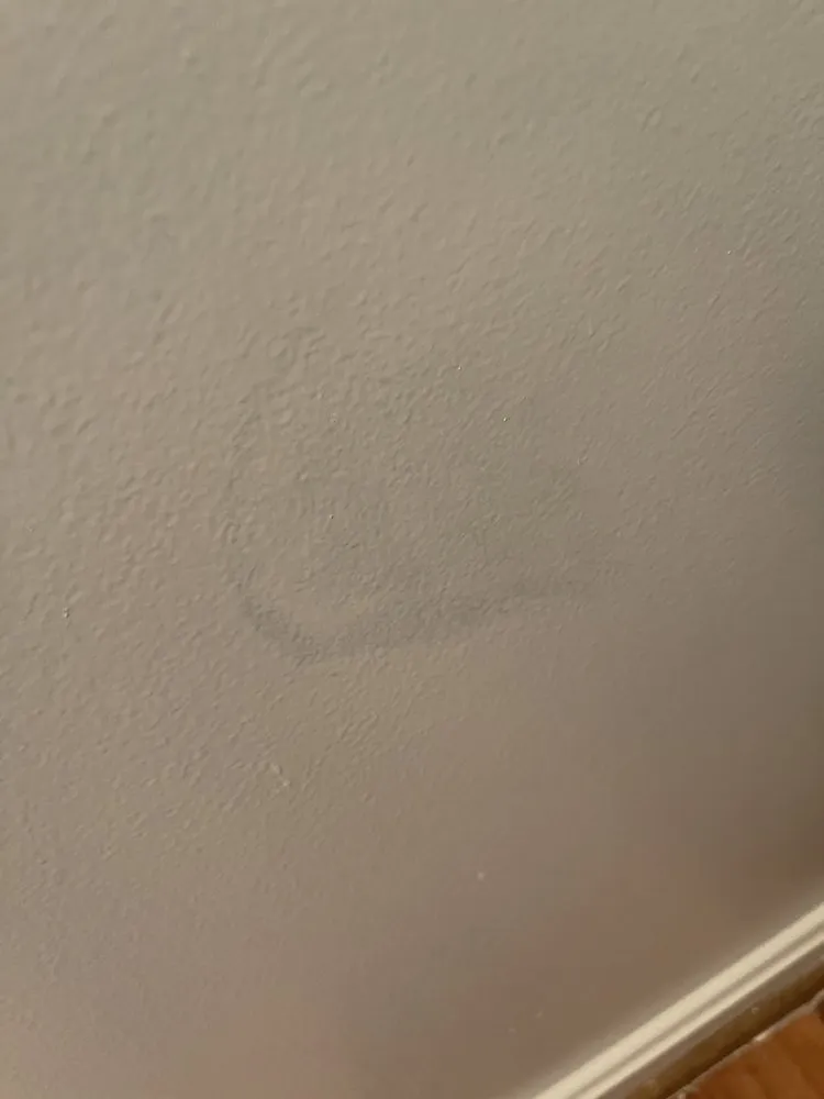 Top-rated lawn mowing service experts serving South Riding, VA - Dia Labor Center