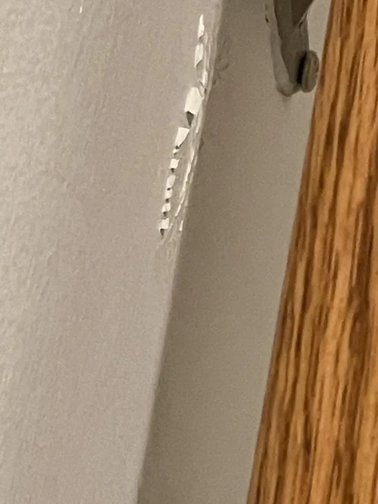 Reliable landscaping services for beautiful yards across South Riding, VA - Dia Labor Center