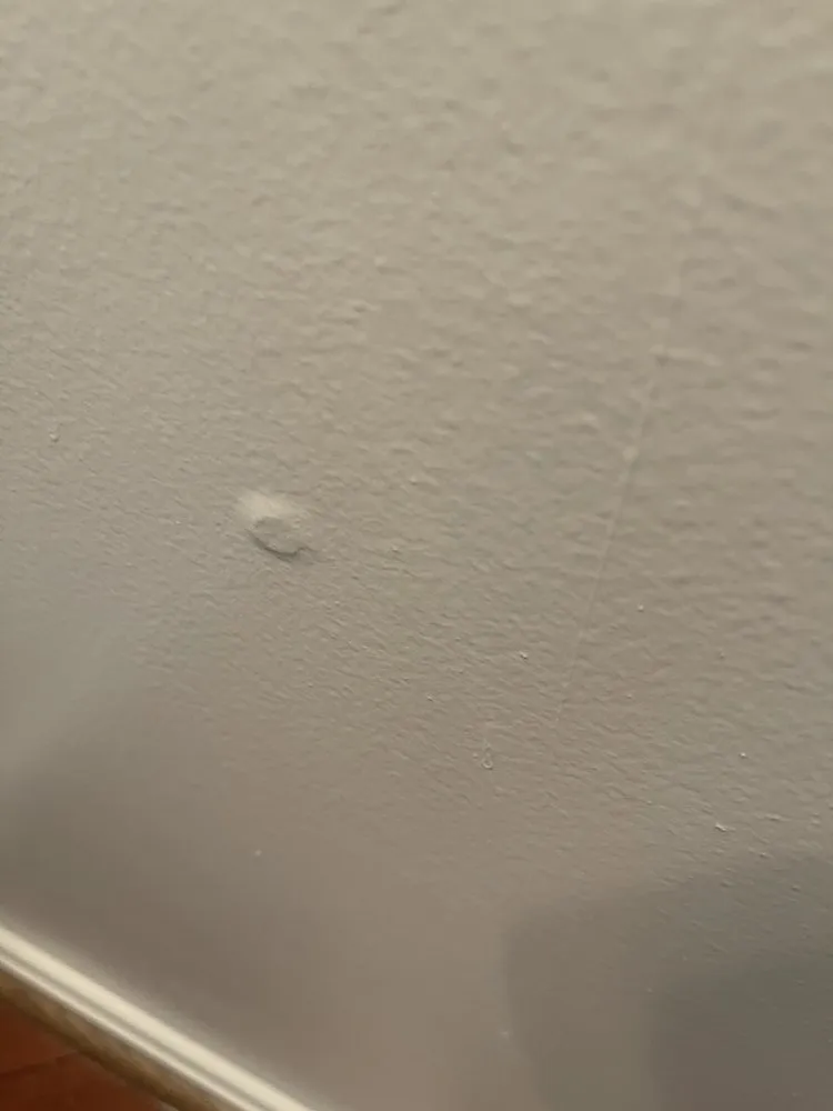 Expert landscape design experts serving South Riding, VA - Dia Labor Center