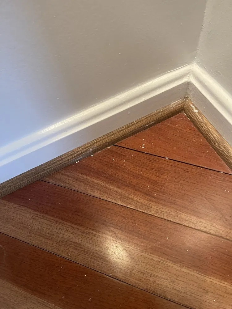 Professional garden landscaping experts serving South Riding, VA - Dia Labor Center