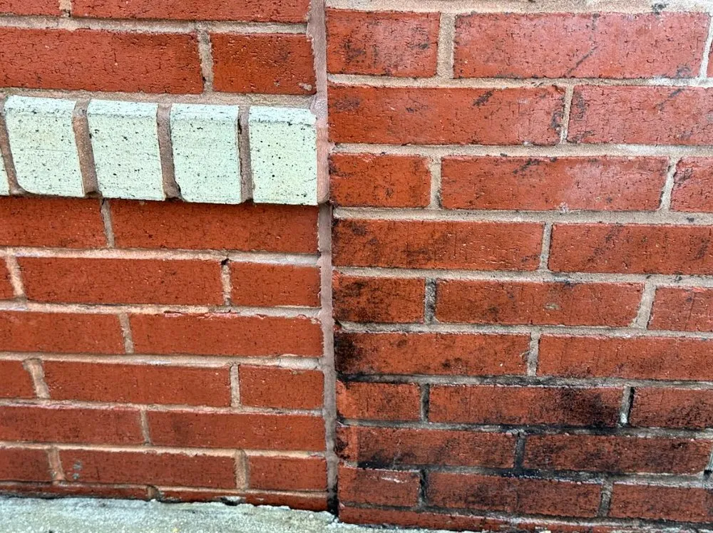 Affordable lawn care service in Bradenton, FL - DIA Services