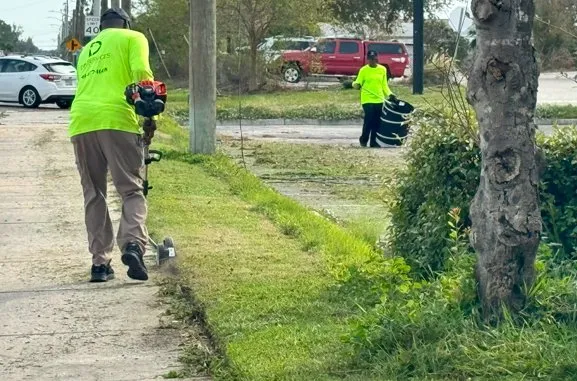 Custom landscape installation for residential properties across Bradenton, FL - DIA Services