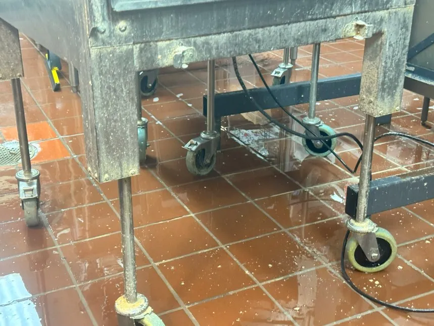 Expert residential landscaping in Bradenton, FL by DIA Services