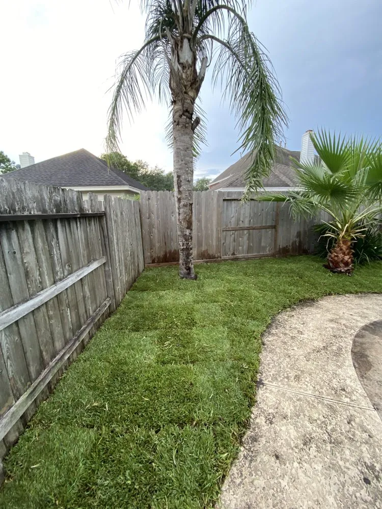 Affordable outdoor landscaping experts serving Pearland, TX - DIAC